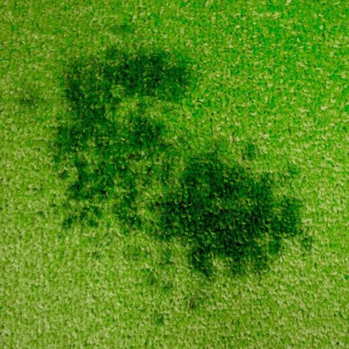 11 Carpet Cleaning Hacks All Homeowners Should Know