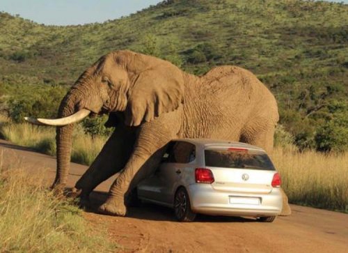 27 Questionable Car Moments That We Want No Part Of