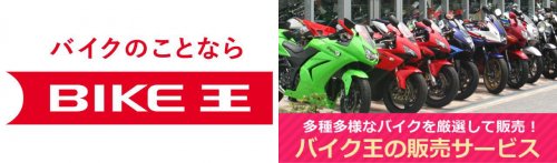 中古なら120万円→60万円⁉ クラシックバイクに「新しさ」を求めないならカワサキ『W800』の2011～2016年モデルが狙い目か……？【チョイフル！中古バイク選びの参考書／2025年4月版】