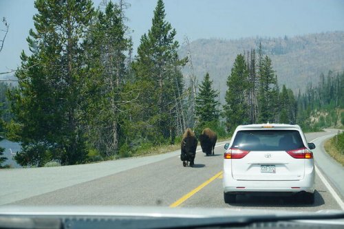 23 Folks Online List Driving Rules That Aren’t Written Down On Paper, Yet Everyone Still Should Know