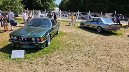 Lawn Classics at 2025 Goodwood Festival of Speed Photo Gallery