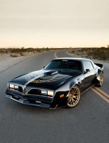 The '70s Muscle Cars That Still Turn The Most Heads