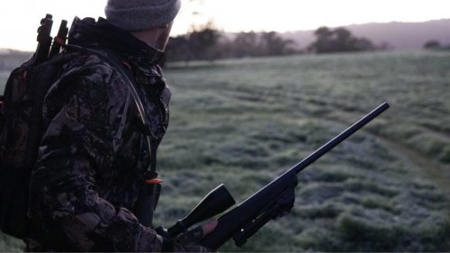 The .22 Creedmoor: Is it worth the buzz?