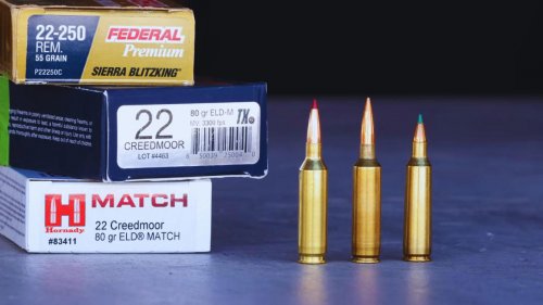 The .22 Creedmoor: Is it worth the buzz?