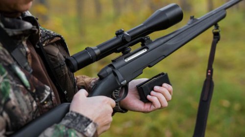 The .22 Creedmoor: Is it worth the buzz?