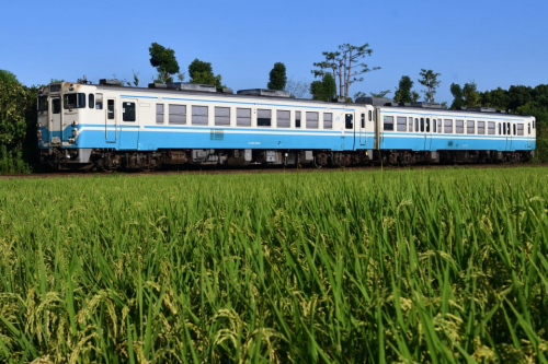後継完成で“置き換えの足音”... 気動車王国・徳島に集う「四国最後のヨンマル」の今