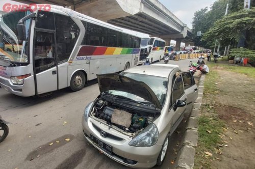 Awas Semut Bisa Bikin Mobil Mogok, Komponen Ini yang Diserang