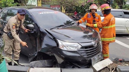 Masuk Akal, Ini Penjelasan Logis Tabrak Kucing di Jalan Bisa Bikin Sial